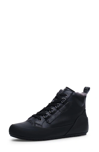 Candice Cooper Star Genuine Shearling Lined Mid Top Sneaker In Old Black |  ModeSens
