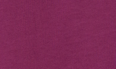 Shop Advisory Board Crystals Abc. 123. Rugby Polo In Rhodolite Purple