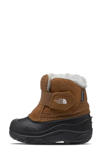 Shop The North Face Kids' Alpenglow Ii Waterproof Insulated Boot In Toasted Brown/ Toasted Brown