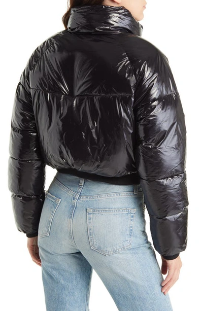 Shop Blanknyc Crop Puffer Jacket In Cold Lover