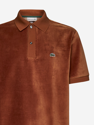 Lacoste Polo Shirt  Men In Brown