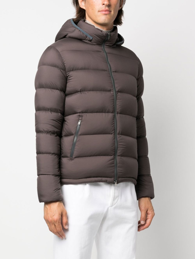 Shop Herno Hooded Down Puffer Jacket In Braun