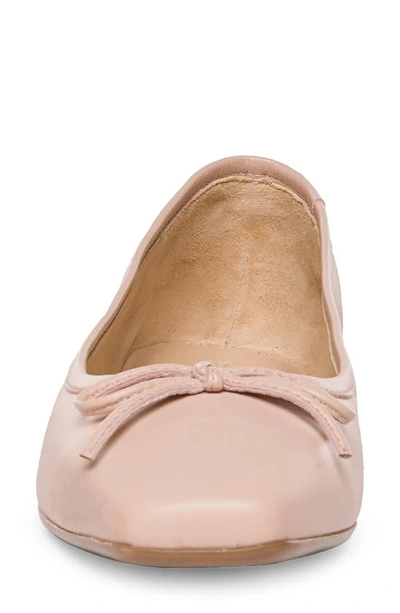Shop Bernardo Footwear Square Toe Ballet Flat In Blush