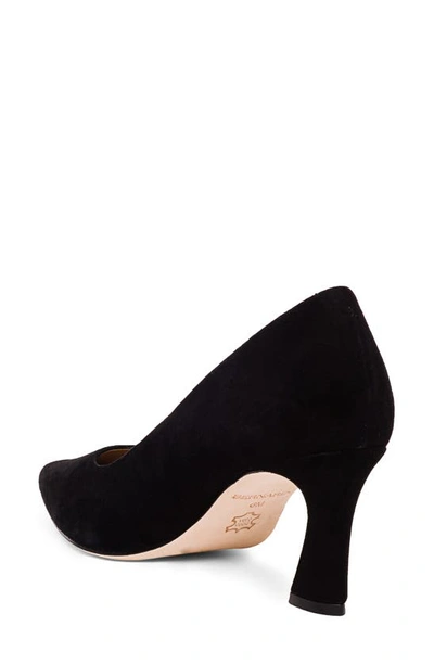 Bernardo Faryn Pointed Toe Pump In Black Suede