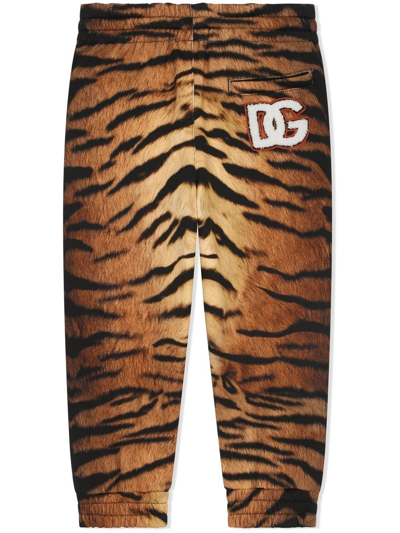 Dolce & Gabbana Tiger-print Jogging Pants In Brown