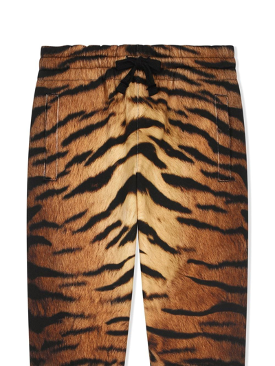 Shop Dolce & Gabbana Tiger-print Jogging Pants In Brown