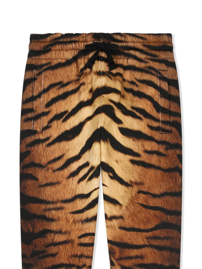 Dolce & Gabbana Tiger-print Jogging Pants In Brown