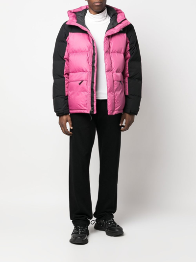 Shop The North Face Himalayan Padded Parka In Pink