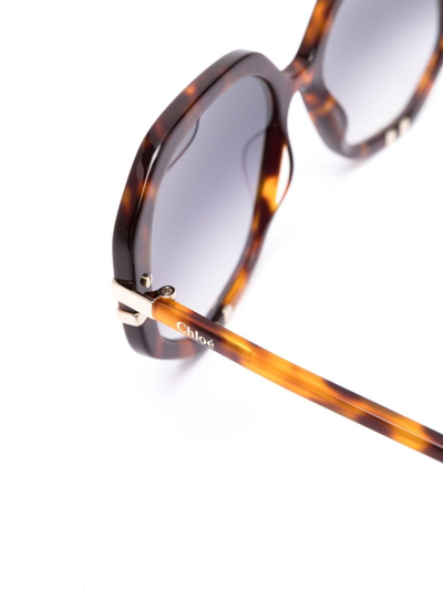 Shop Chloé Round-frame Sunglasses In Brown