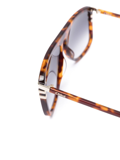 Shop Chloé Tortoiseshell-effect Sunglasses In Brown
