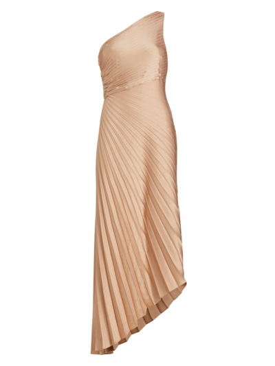 Shop A.l.c Women's Delfine Pleated Asymmetric Dress In Bella