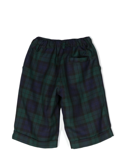 Mariella Ferrari Tartan-print Knee-length Shorts In Green