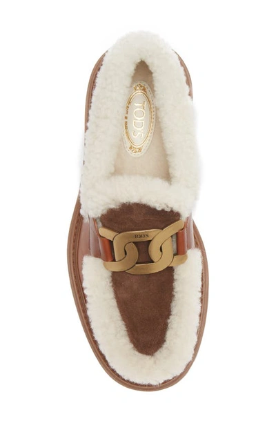 Shop Tod's Gomma Pes Genuine Shearling Trimmed Loafer In Light Brown