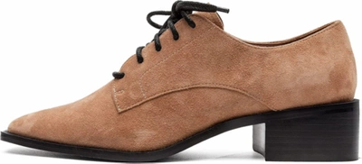 Pre-owned Linea Paolo - Moritz - Womens Tapered Square Toe Low Stack Heel Lace-up... In Whiskey Kid Suede