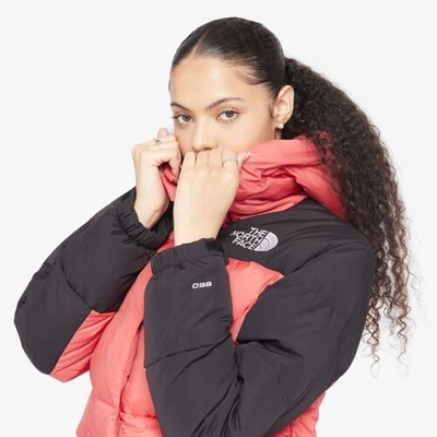 Pre-owned The North Face Womens / Himalayan Down Parka / Faded Rose / M / Rrp£350