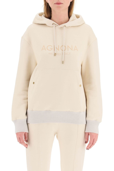 Shop Agnona Logo Hoodie With Cashmere Finishings In Beige
