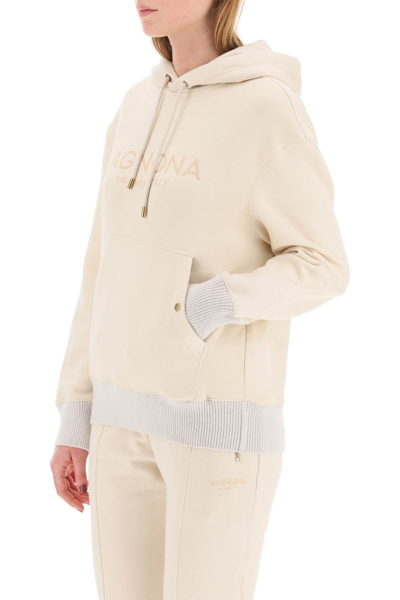 Shop Agnona Logo Hoodie With Cashmere Finishings In Beige