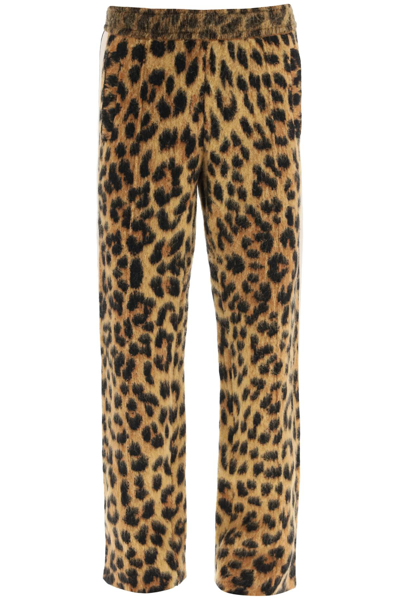Shop Palm Angels Leopard Jacquard Knit Pants In Multicolor