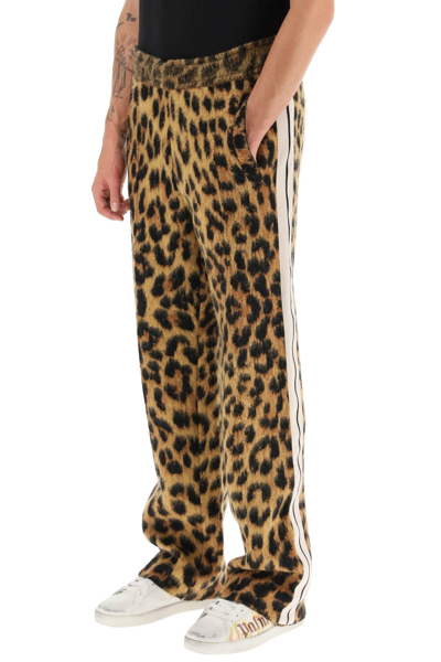 Shop Palm Angels Leopard Jacquard Knit Pants In Multicolor