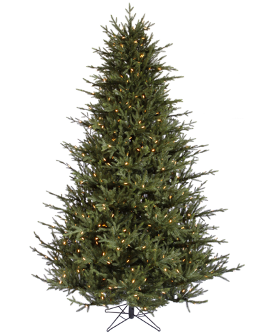 Shop Vickerman Itasca Fraser Artificial Christmas Tree, Warm Led Dura-lit Lights, 9.5' In Green