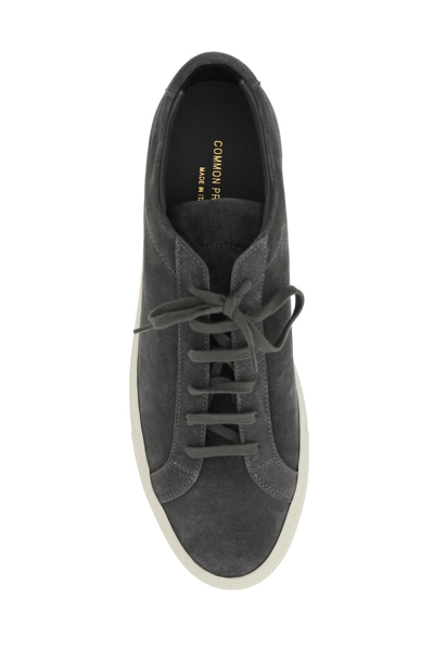 Shop Common Projects Suede Leather Achilles Low Sneakers In Grey