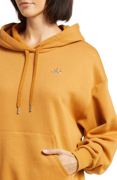 Shop Alo Yoga Accolade Hoodie In Toffee