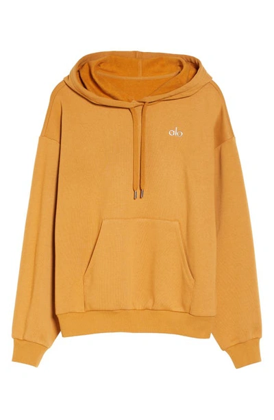 Shop Alo Yoga Accolade Hoodie In Toffee