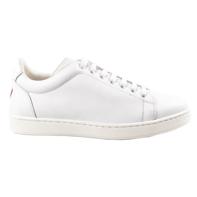 Pre-owned Kiton Fw 19/20 Sneakers Shoes Leather And Crocodile Sz 10 Us 43 Eu Kst3 In White