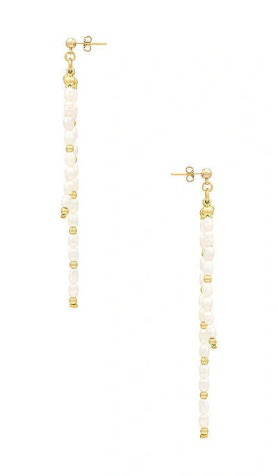 Shop Arms Of Eve Tara Earrings In Gold