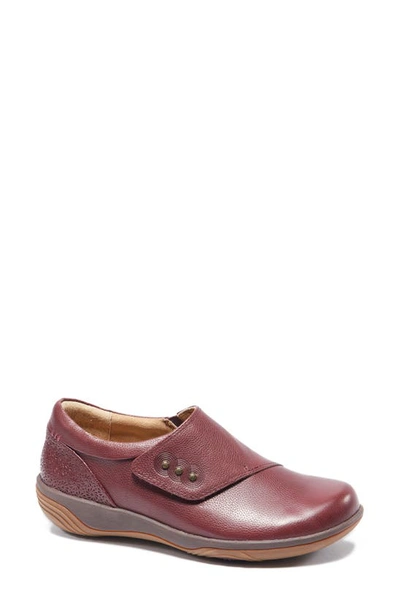 Shop Halsa Footwear Anna Clog In Dark Cherry