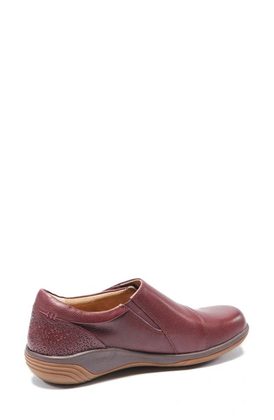 Halsa Footwear Anna Clog In Dark Cherry