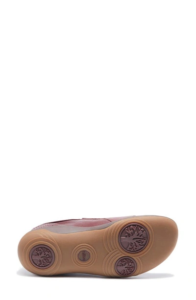 Halsa Footwear Anna Clog In Dark Cherry