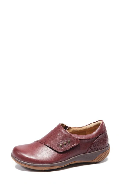 Halsa Footwear Anna Clog In Dark Cherry
