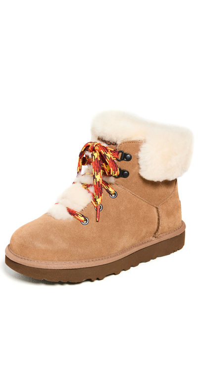 Shop Ugg Classic Mini Alpine Lace Boots Chestnut