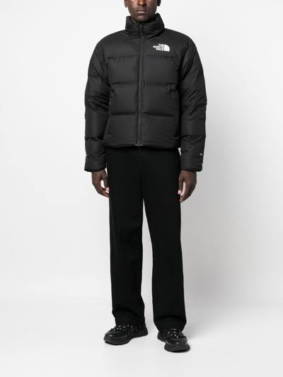 Shop The North Face Nuptse Padded Jacket In Black