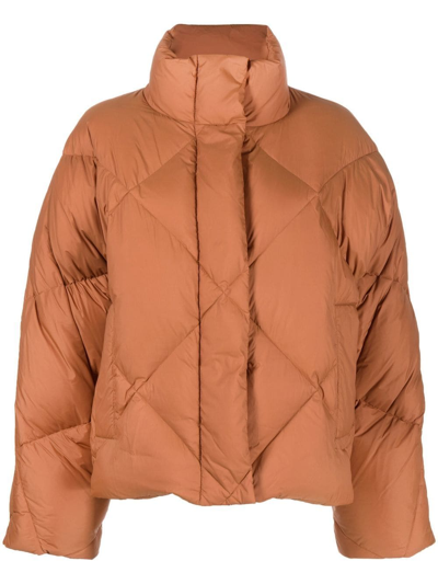 Shop Stand Studio Aina Quilted Down-filled Jacket In Brown