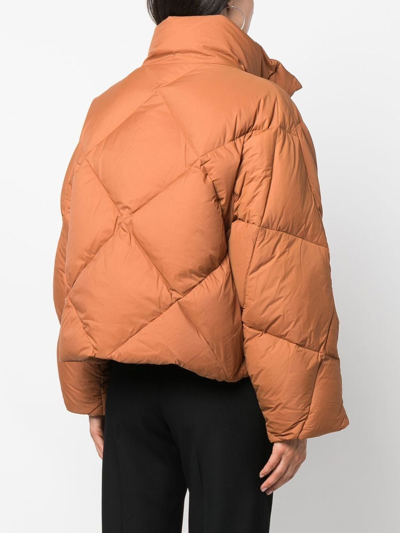 Shop Stand Studio Aina Quilted Down-filled Jacket In Brown
