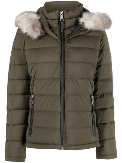 Shop Dkny Thistle Puffer Jacket In Green