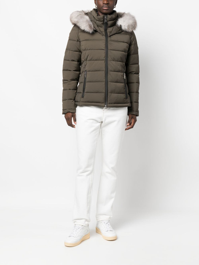 Shop Dkny Thistle Puffer Jacket In Green