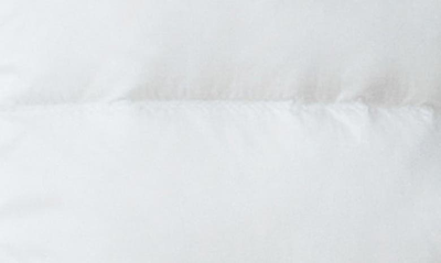 The Recycled Planet Company Luna Recycled Nylon Down Puffer Jacket In White