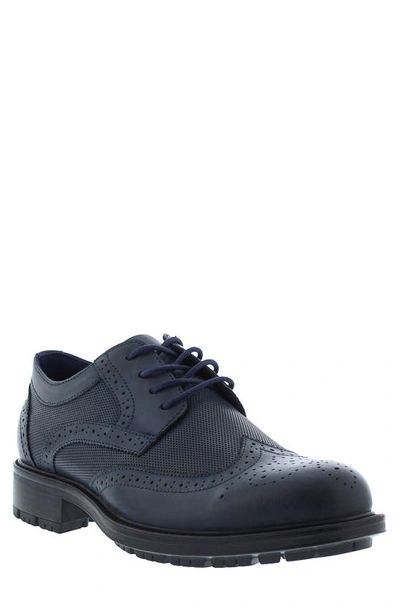 Shop English Laundry Fame Brogue Leather Derby In Navy