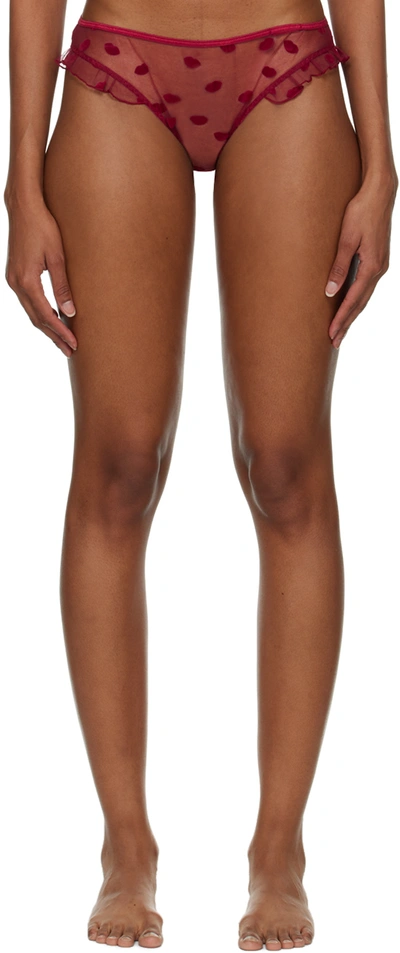 Le Petit Trou Bouche Embroidered Briefs In Claret