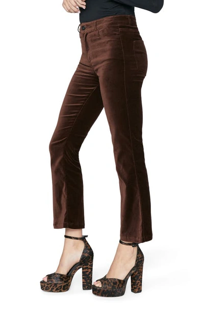 Shop Paige Claudine Velvet Ankle Flare Pants In Chicory Coffee