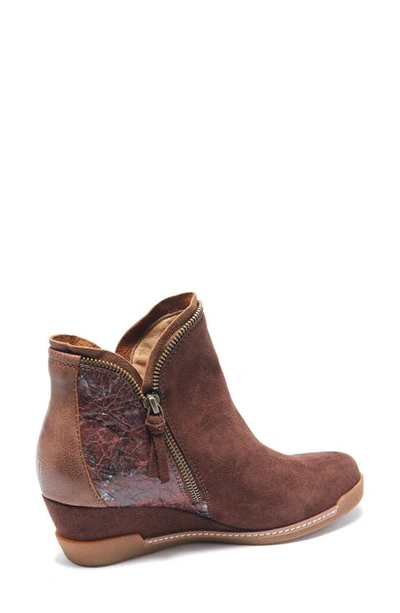 Halsa Footwear Dana Wedge Bootie In Dark Brown Suede With Foliage