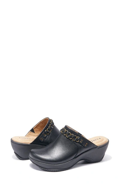 Halsa Footwear Chloe Clog In Black