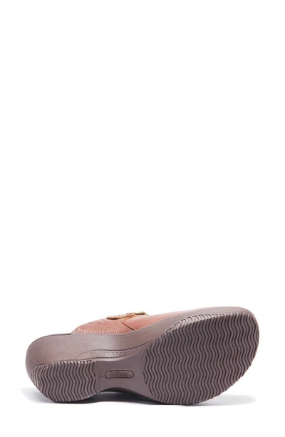 Halsa Footwear Chloe Clog In Dark Brown