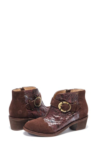 Halsa Footwear Miranda Bootie In Dark Brown