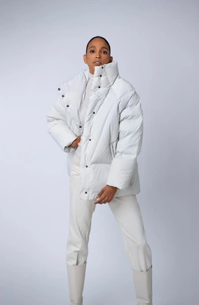 The Recycled Planet Company Ella Water Resistant Recycled Down Puffer Jacket In Ice
