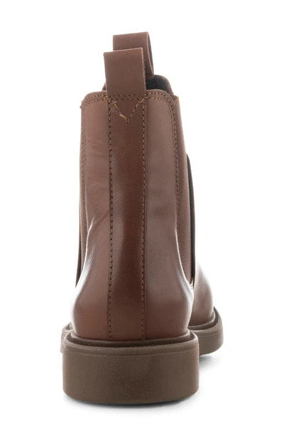 Shop Shoe The Bear Thyra Chelsea Boot In Chestnut Brown