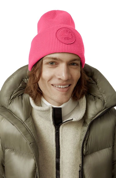 Shop Canada Goose Arctic Merino Wool Toque Beanie In Summit Pink - Rose Sommet
